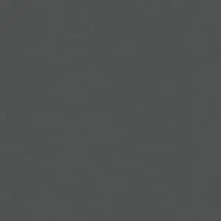 Carolina Closets Garage Colors - Pewter Frost