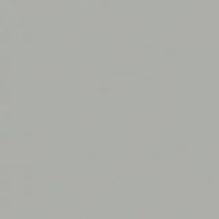 Carolina Closets Garage Colors - Silver Frost