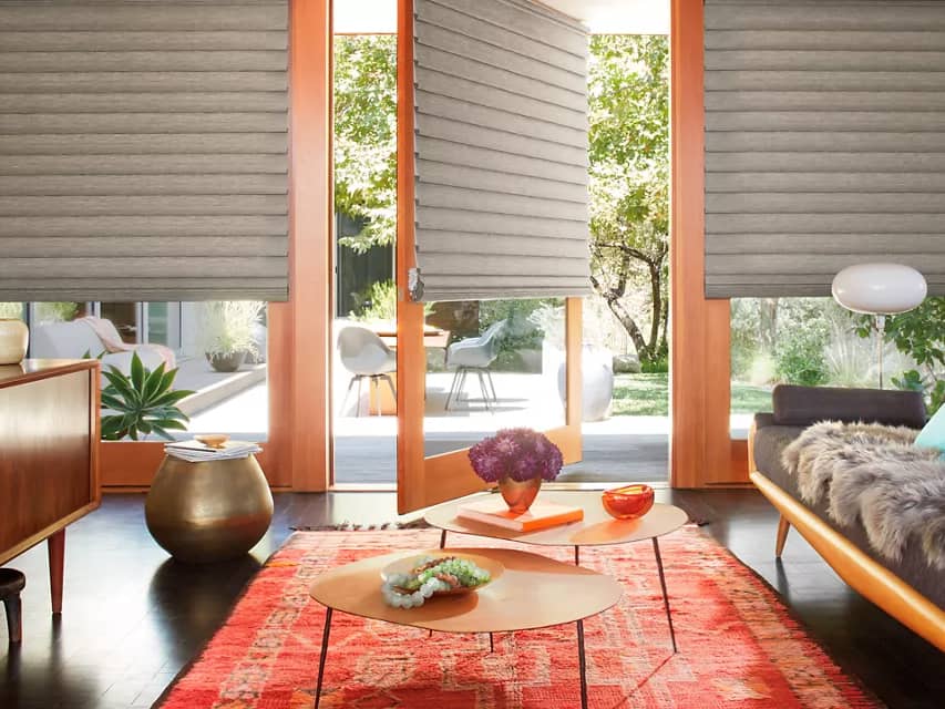 Vignette Modern Roman Shades in a sitting room